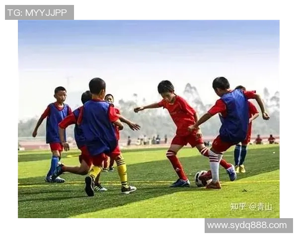 巴西足球明星的璀璨瞬间与激情岁月的精彩回顾