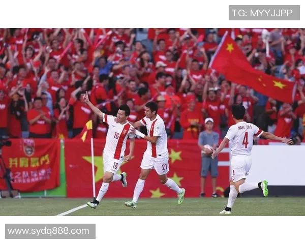 足球明星战队双标现象分析与影响探讨